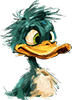 duck